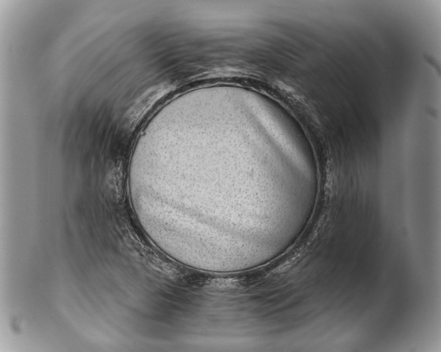 X0000101971313200808011121