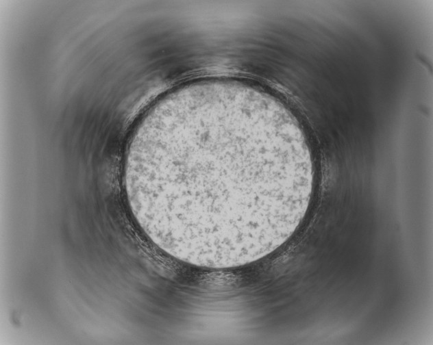 X0000101971314200808011121