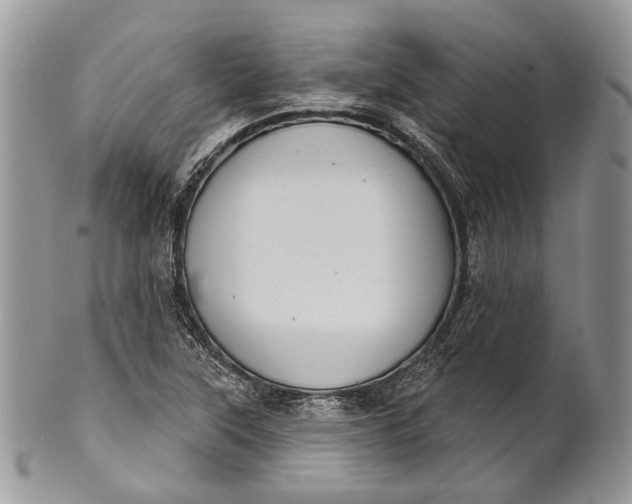 X0000101971315200808011121