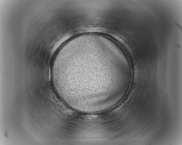 X0000101971317200808011121