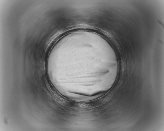 X0000101971318200808011121