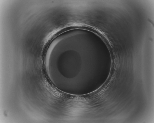 X0000101971319200808011121