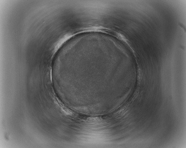 X0000101971320200808011121