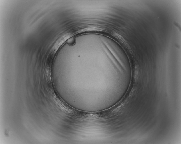 X0000101971321200808011121