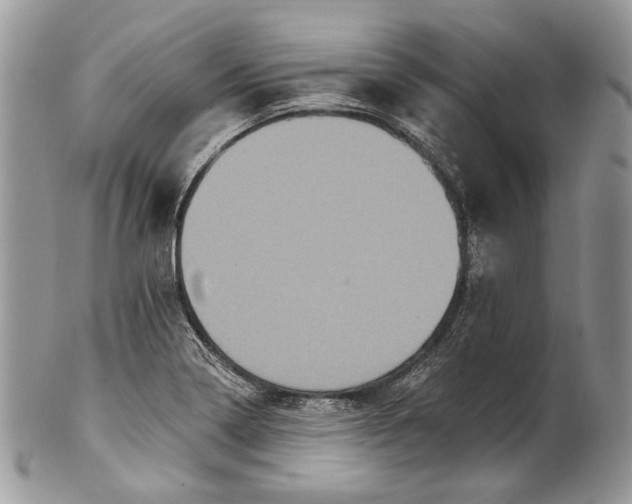X0000101971322200808011121