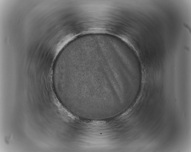 X0000101971325200808011122