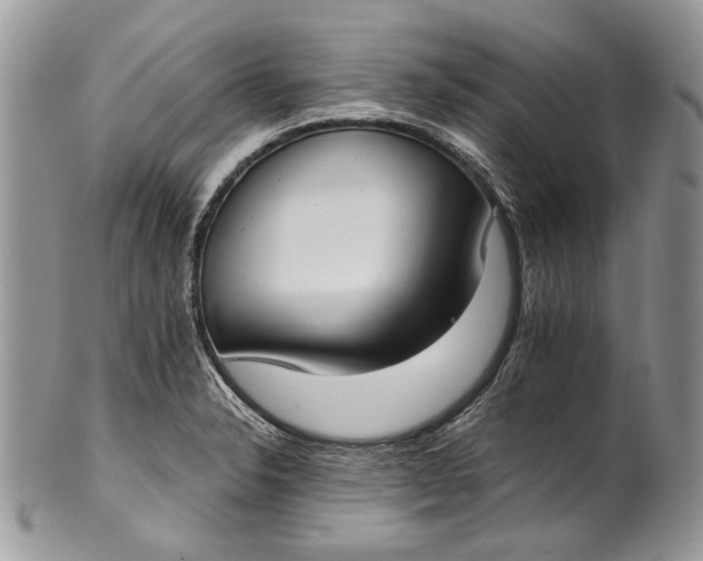X0000101971326200808011122
