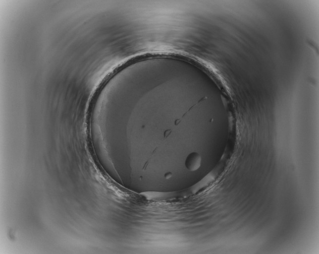 X0000101971327200808011122