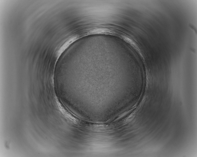 X0000101971330200808011122