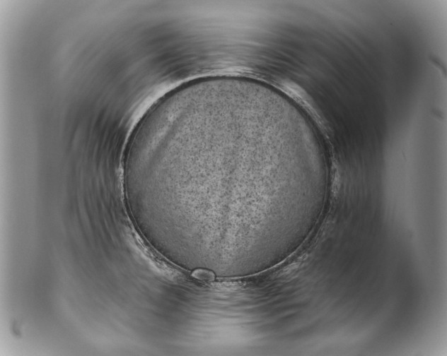 X0000101971332200808011122