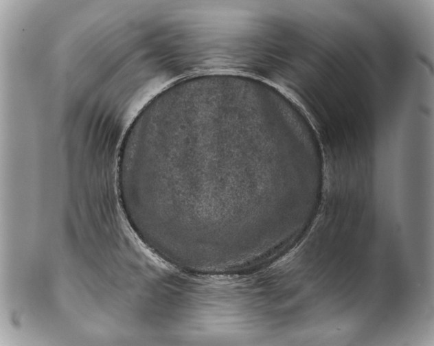 X0000101971333200808011122