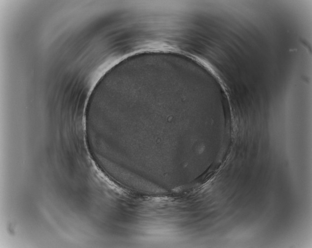 X0000101971335200808011122