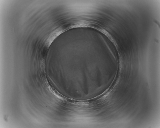 X0000101971337200808011122