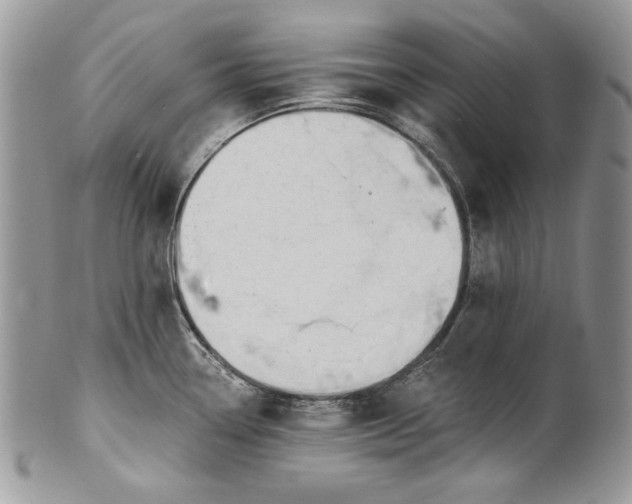 X0000101971338200808011122