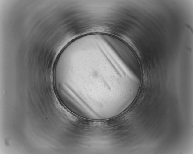 X0000101971339200808011122