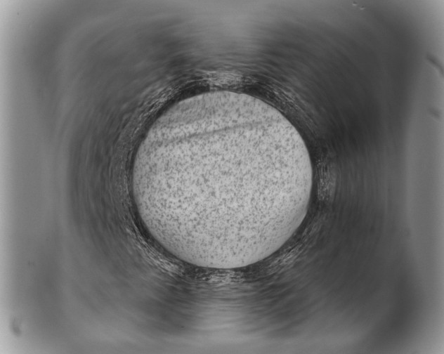 X0000101971345200808011121