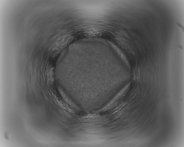 X0000101971346200808011121