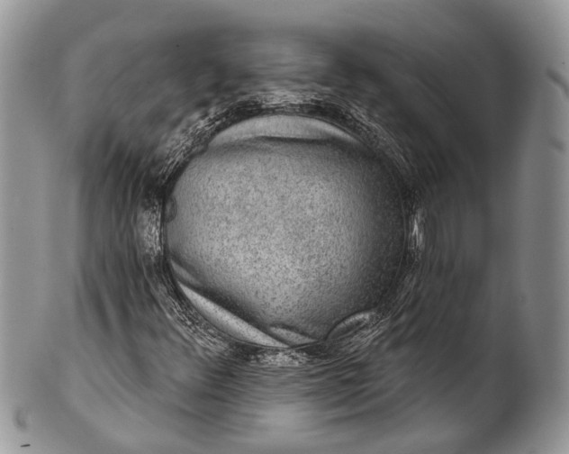 X0000101971348200808011121
