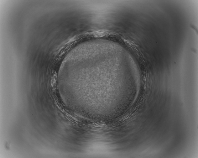 X0000101971349200808011121