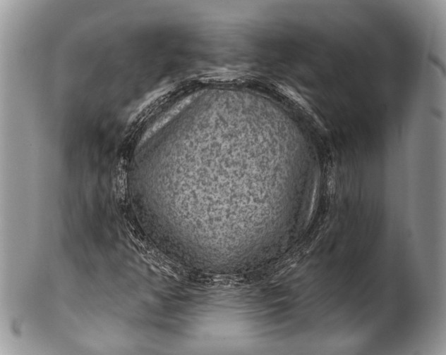 X0000101971350200808011121