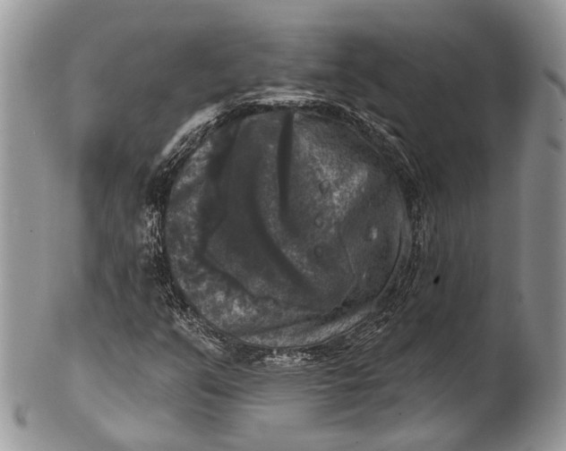 X0000101971351200808011121