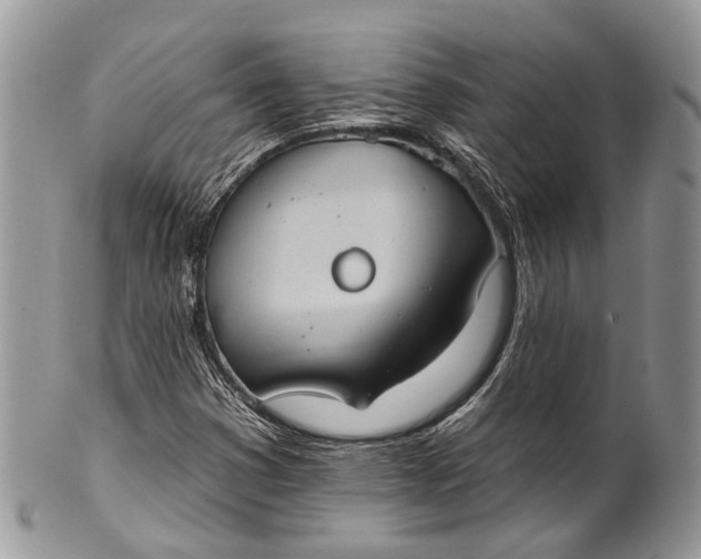 X0000101971353200808011121