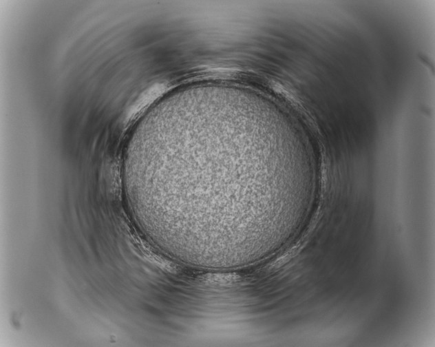 X0000101971354200808011121