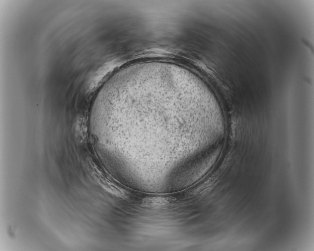 X0000101971355200808011121