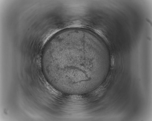 X0000101971356200808011121