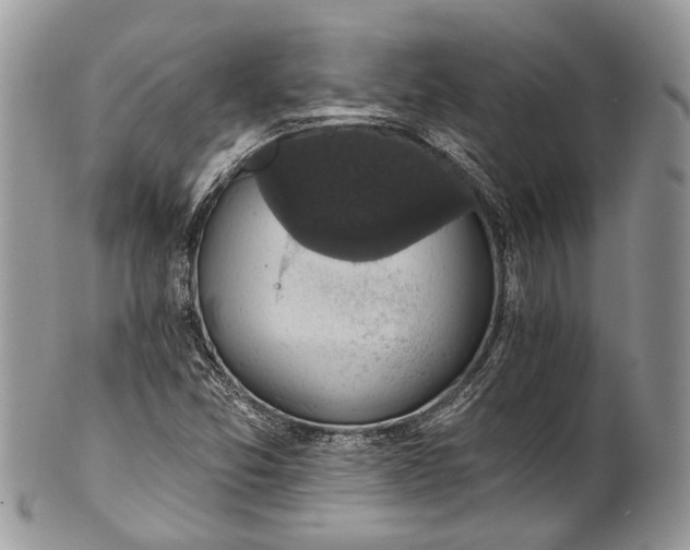 X0000101971357200808011121