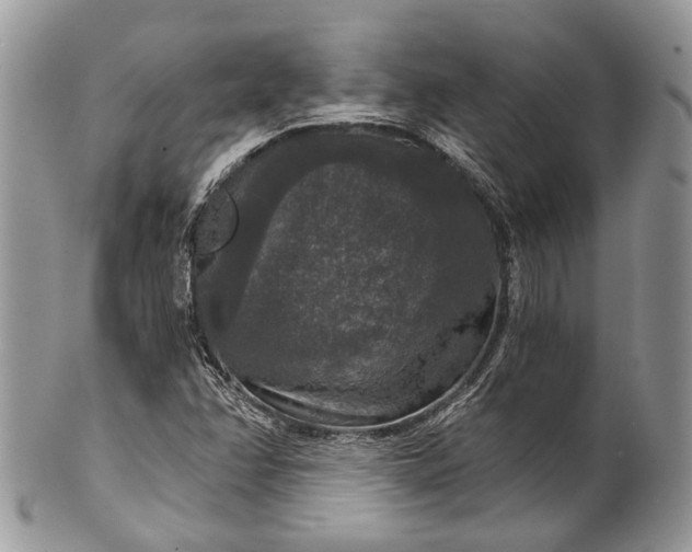 X0000101971358200808011121