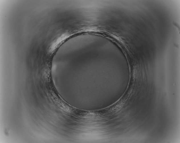 X0000101971359200808011121