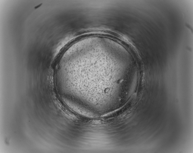 X0000101971360200808011121