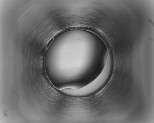 X0000101971361200808011121