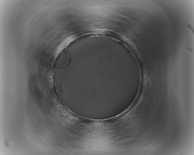 X0000101971362200808011121