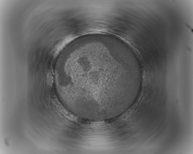 X0000101971363200808011121