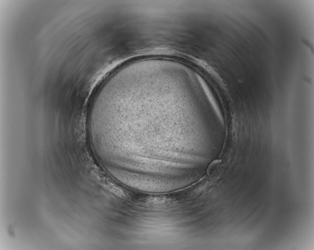 X0000101971364200808011121