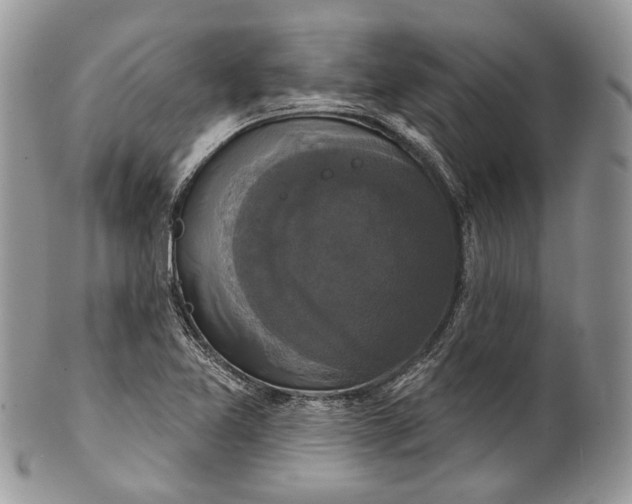 X0000101971365200808011121