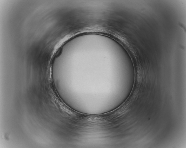 X0000101971366200808011121