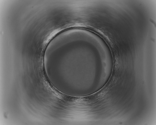 X0000101971367200808011121
