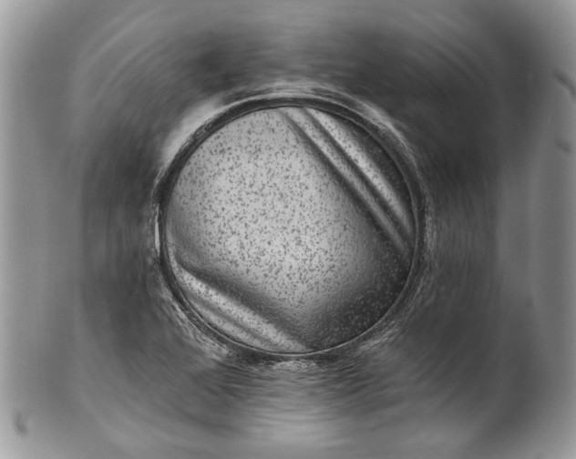 X0000101971368200808011121