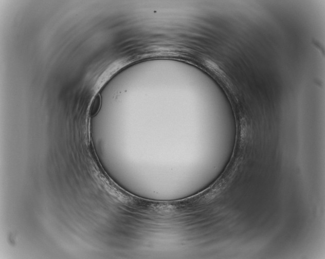 X0000101971370200808011121