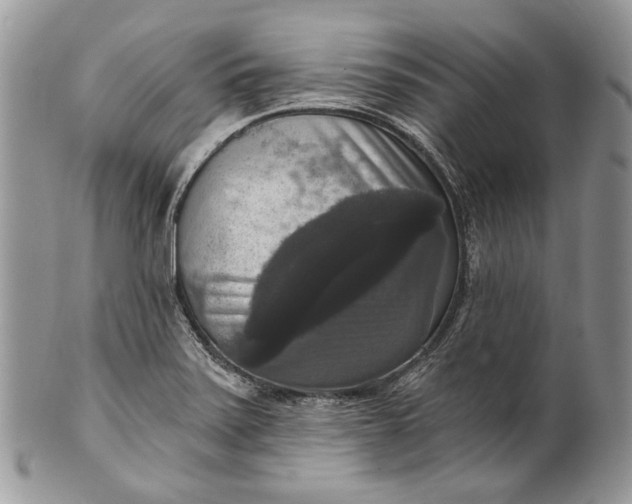 X0000101971371200808011121
