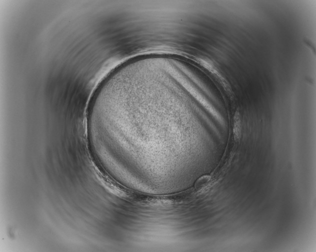 X0000101971372200808011121