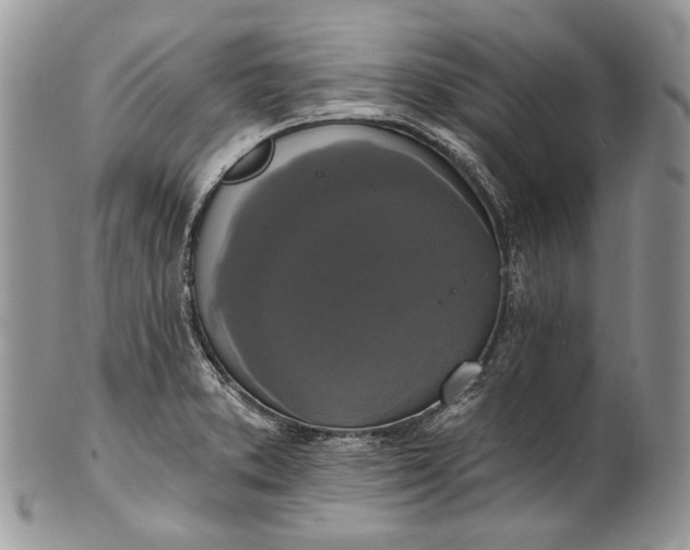 X0000101971373200808011121