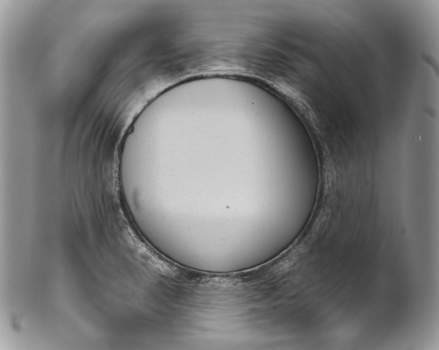 X0000101971374200808011121