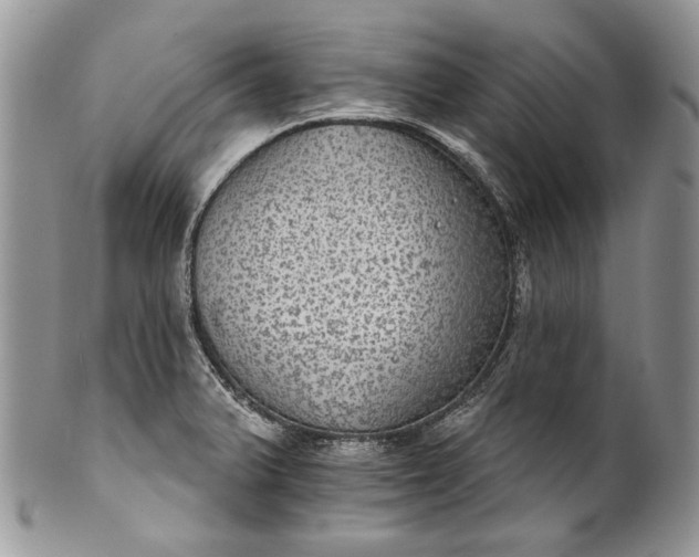 X0000101971375200808011121