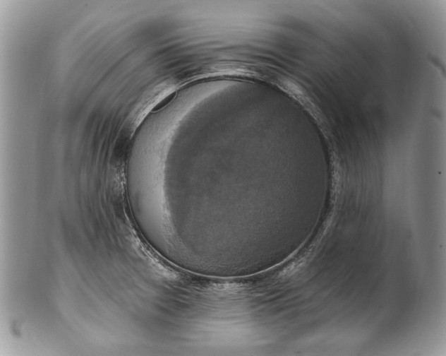 X0000101971377200808011121