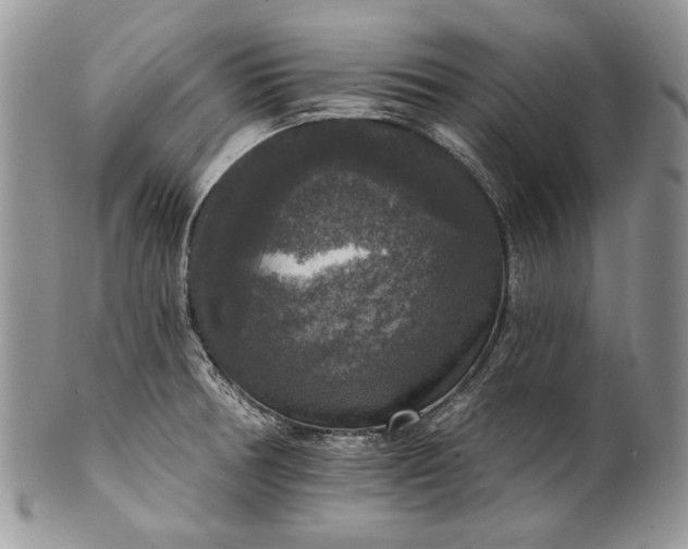 X0000101971378200808011121