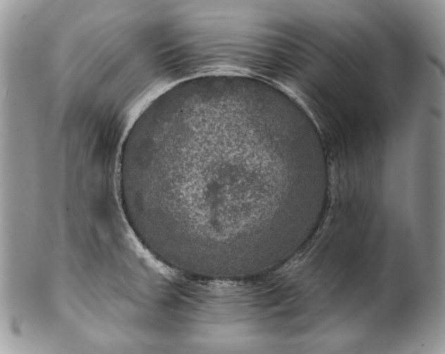 X0000101971379200808011121